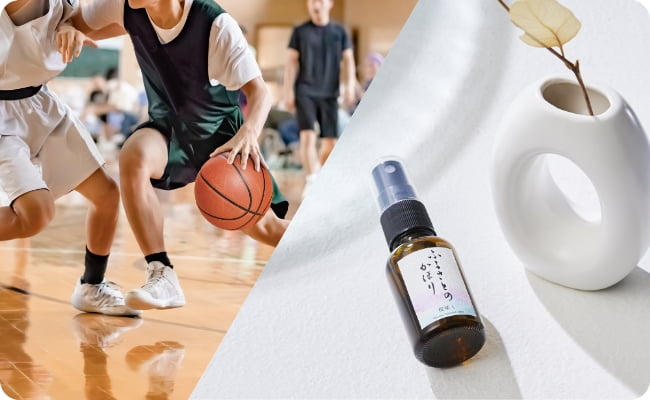 MS+（エムエスプラス）